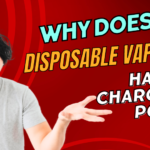 Why Does Disposable Vape Pen Have a Charging Port?