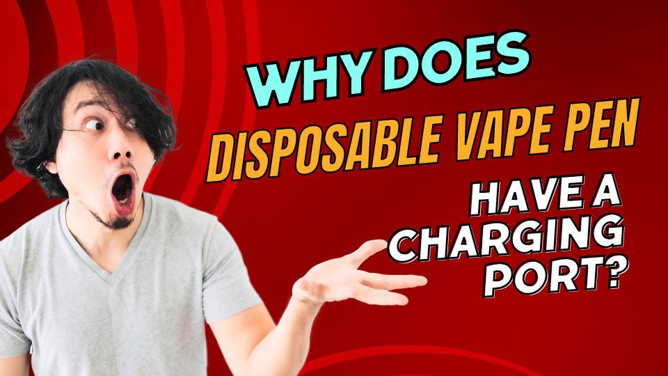 Why Does Disposable Vape Pen Have a Charging Port?