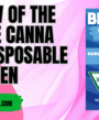 Breeze Canna Disposable THC Vape Pen Review