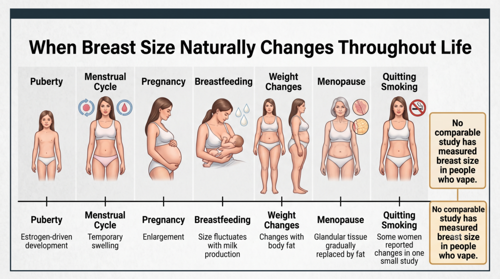 When Do Breasts Genuinely Change Size?