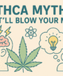 7 THCA Myths That'll Blow Your Mind